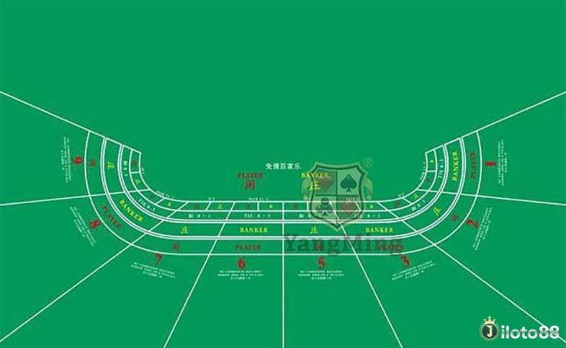 Các vị trí người chơi trong bố cục bàn baccarat rõ ràng và khoa học