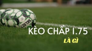 Kèo 1.75 là gì? Giải mã tỷ lệ chấp 1.5/2 và cách tính chi tiết