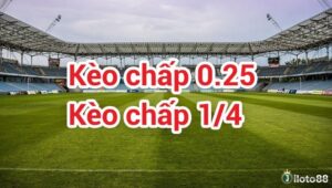  Kèo 0.25 là gì? Giải mã kèo đồng banh nửa trái chi tiết