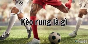 Kèo rung là gì? Giải mã chi tiết loại hình cược trực tiếp