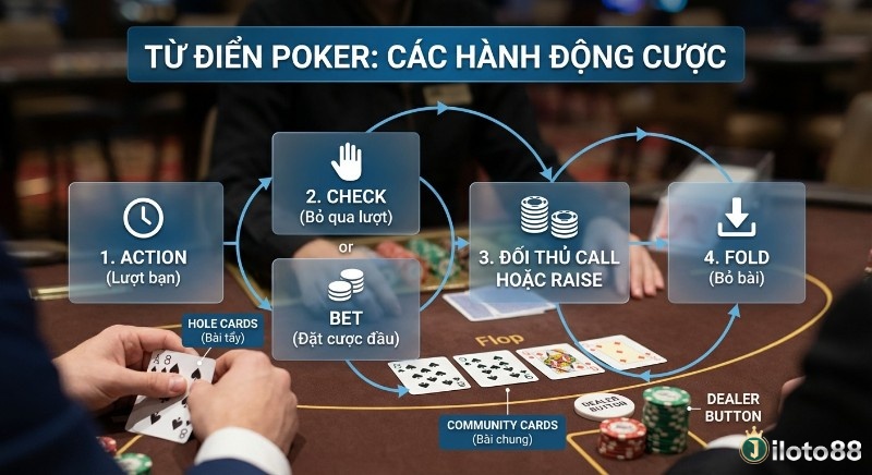 Sơ đồ quy trình các hành động cược trong Poker, làm rõ lượt Action, Check/Bet, Call/Raise, Fold cùng Hole Cards và Community Cards