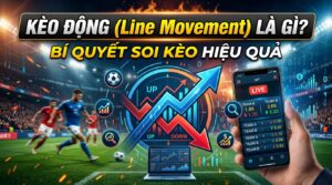 Kèo động (line movement) là gì? Bí quyết soi kèo hiệu quả